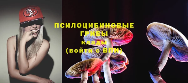 крисы Алзамай