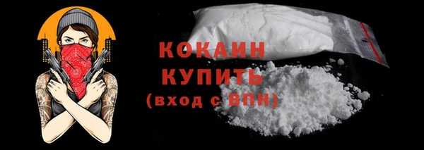 гидра Абаза