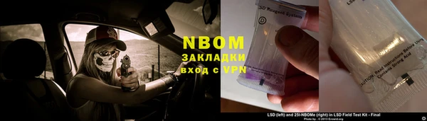 гидра Абаза