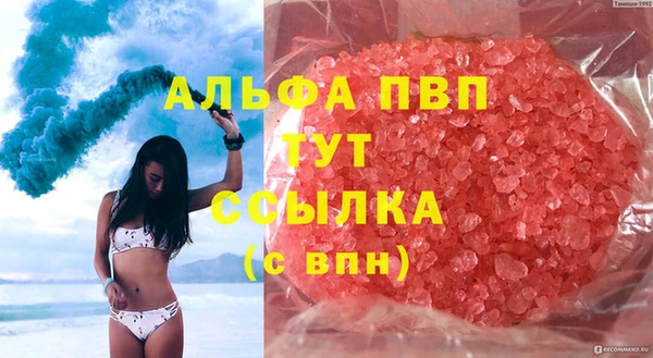 гидра Абаза