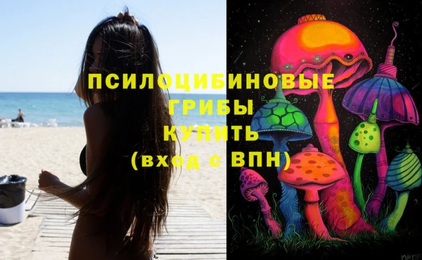 гашик Абинск