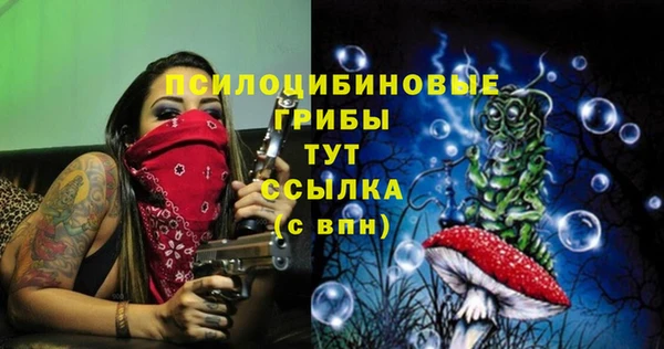 гашик Абинск