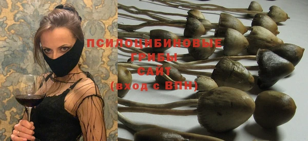 гашик Абинск