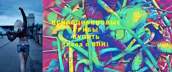 гашик Абинск