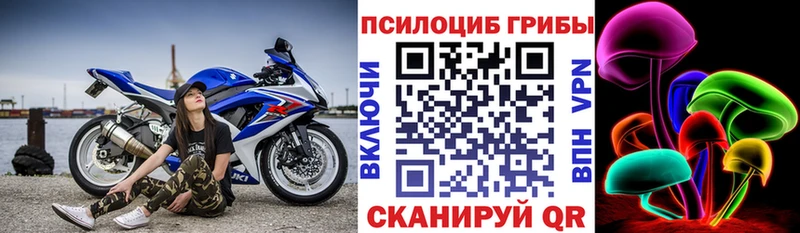 Псилоцибиновые грибы мицелий  маркетплейс Telegram  Дивногорск 