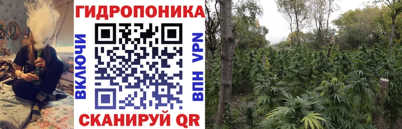 Канабис Ganja Дивногорск